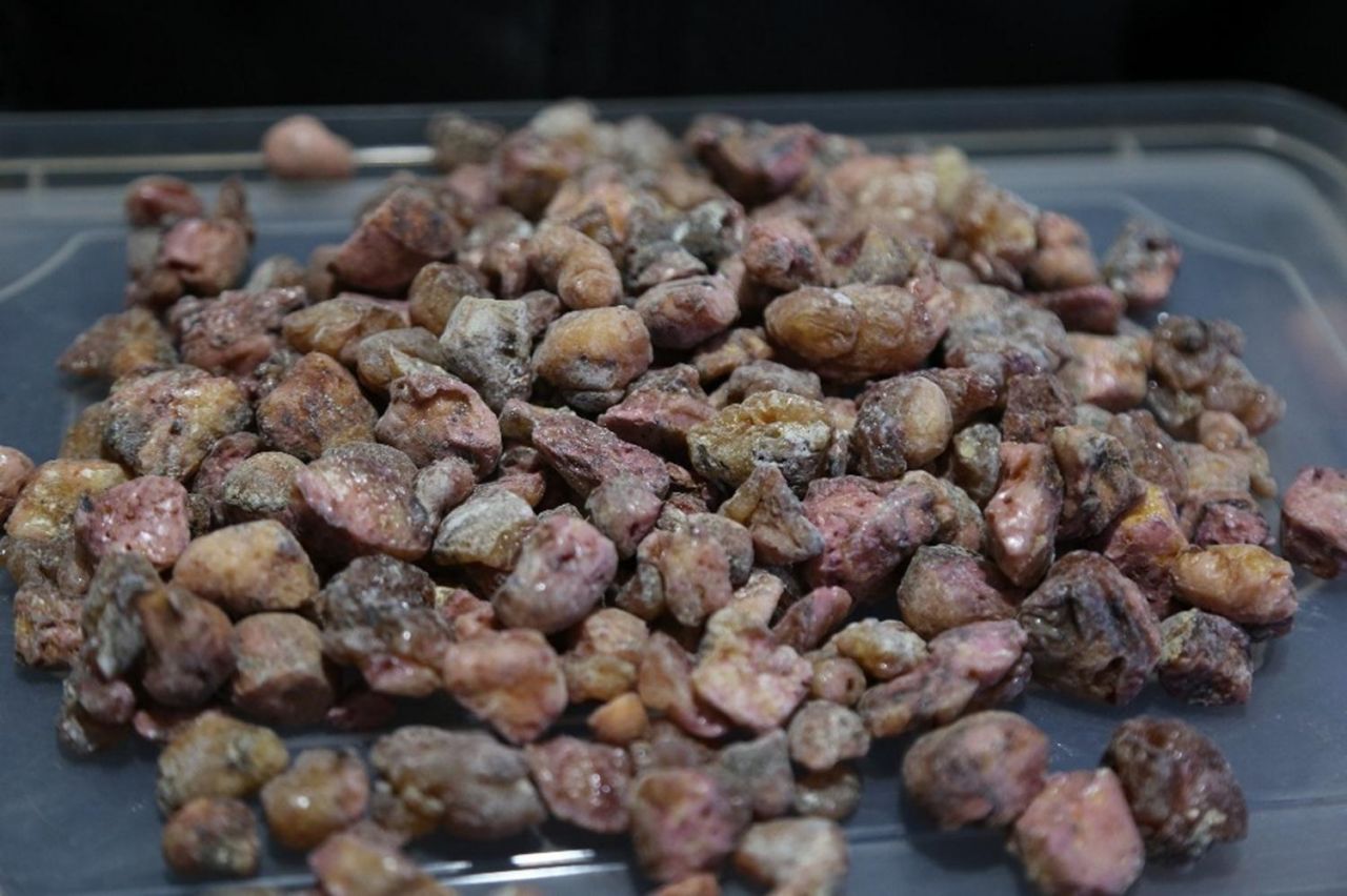 Kilosu altınla yarışıyor: Tam bir şifa deposu 13