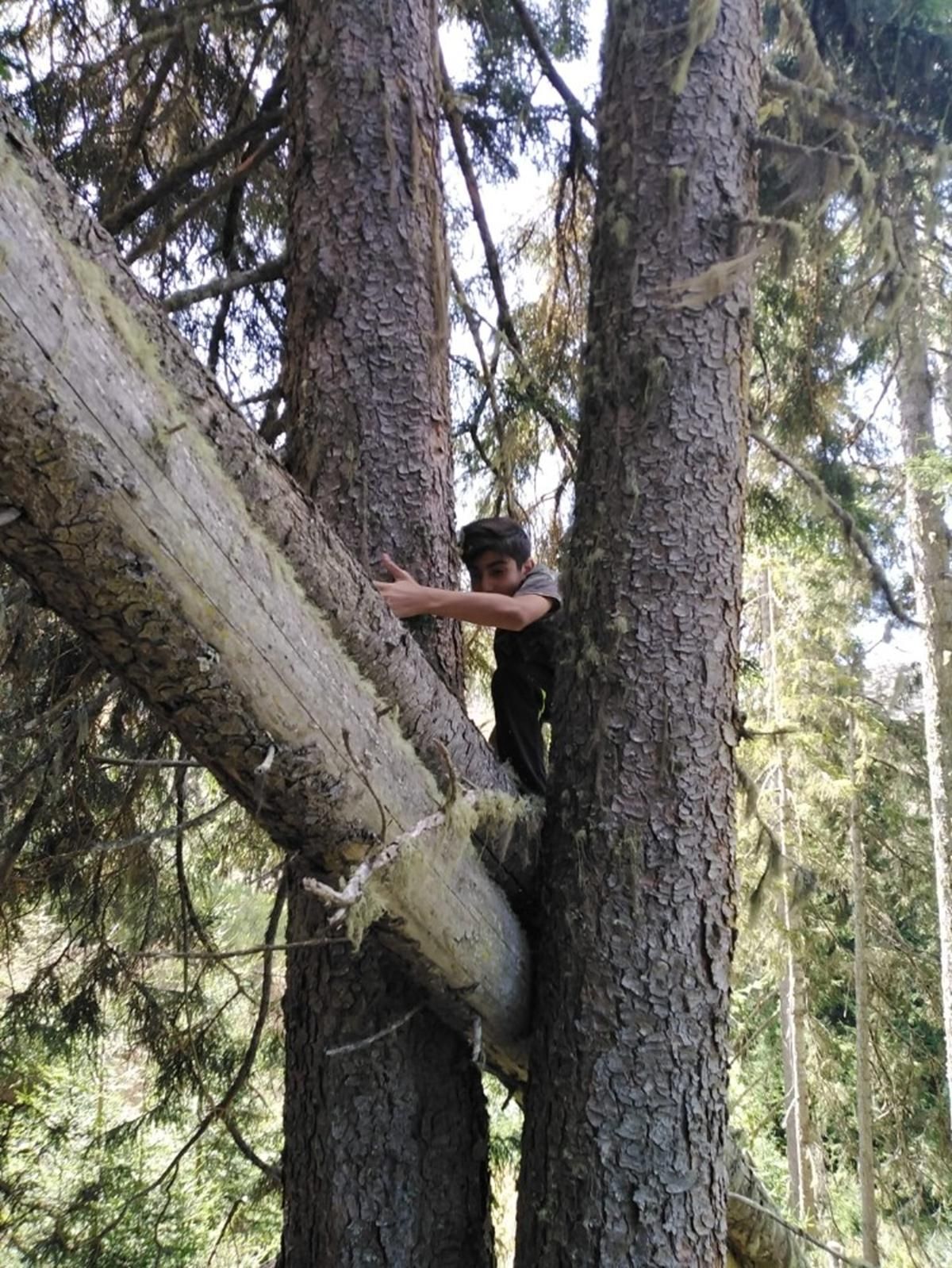 Kilosu altınla yarışıyor: Tam bir şifa deposu 10