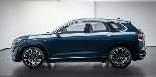 Türkiye'ye gelip talip oldular: Götürmeyi çok isteriz 10