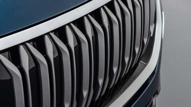 Türkiye'ye gelip talip oldular: Götürmeyi çok isteriz 13