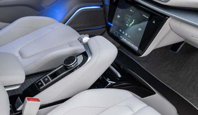 Türkiye'ye gelip talip oldular: Götürmeyi çok isteriz 14