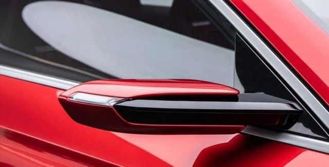 Türkiye'ye gelip talip oldular: Götürmeyi çok isteriz 16