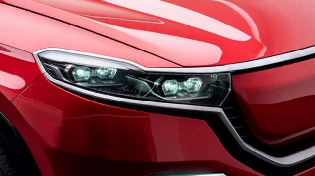 Türkiye'ye gelip talip oldular: Götürmeyi çok isteriz 17