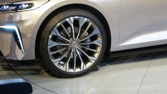 Türkiye'ye gelip talip oldular: Götürmeyi çok isteriz 4