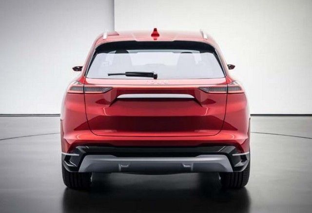 Türkiye'ye gelip talip oldular: Götürmeyi çok isteriz 7