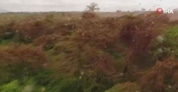 En şiddetlisi! Birçok ülkeyi istila edecek 4