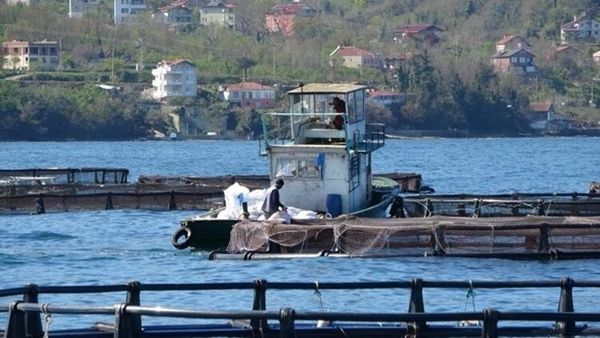 Salgın sonrası talep patlaması: Satışı 150 TL 3