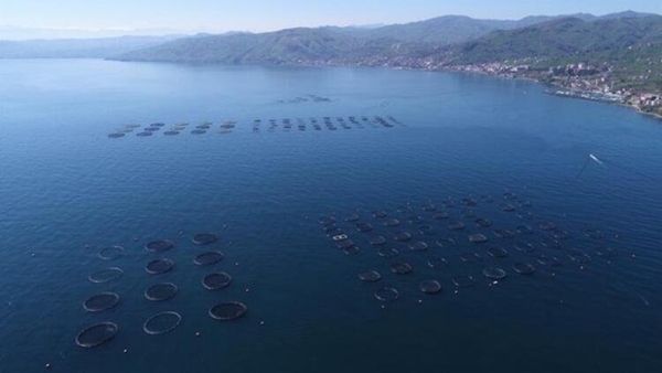 Salgını sonrası talep patlaması: Satışı 150 TL 6