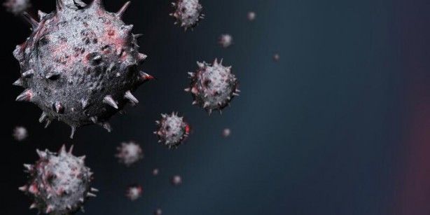 DSÖ'den 27 Aralık açıklaması! Ülkelere çağrı 8