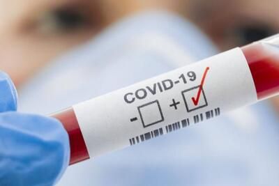 DSÖ'den 27 Aralık açıklaması! Ülkelere çağrı 1