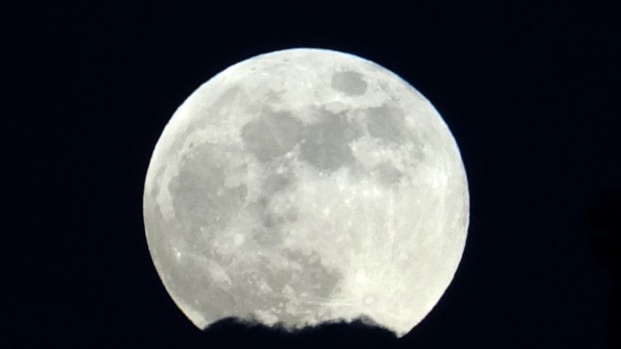 Van semalarında görsel şölen 1