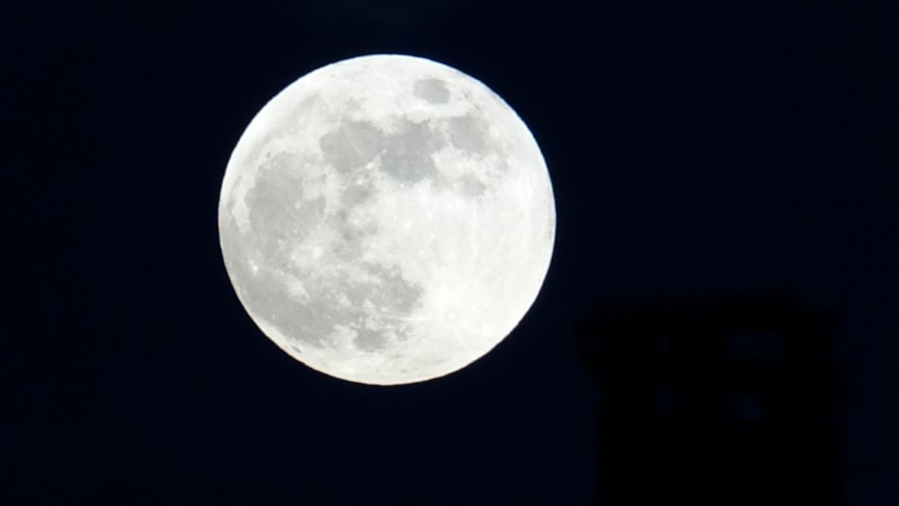 Van semalarında görsel şölen 4