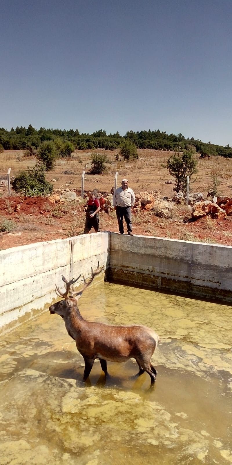 Şaşırtan olay! Ekipler müdahale etti... 2