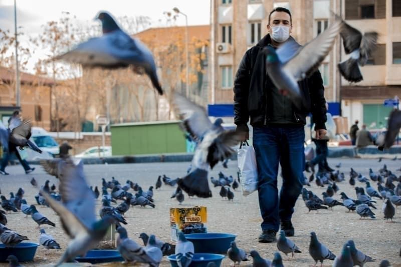 Sağlık Bakanlığı illere ve yaşa göre Kovid-19 verilerini paylaştı! 19