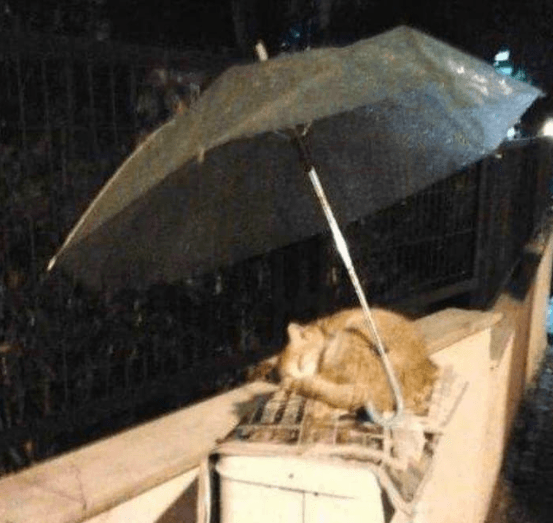 İnsanlık ölmemiş dedirten olaylar… 6