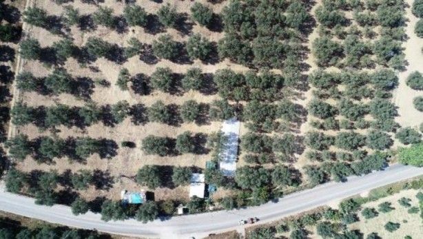 Heyecalandıran görüntü! Üstü kapatıldı 6