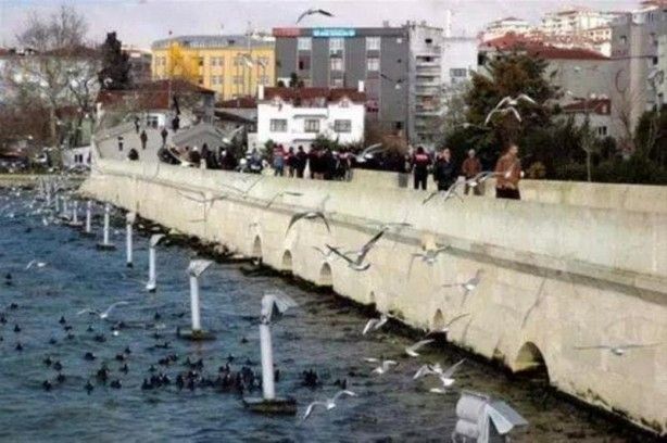 İstanbul'un semtlerinde en çok nereli yaşıyor? 22