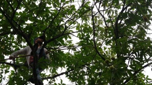 Günlük 400 TL kazanıyor, herkes bu işi yapamıyor 1