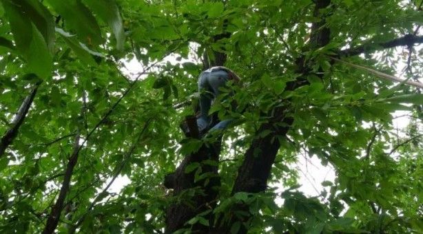 Günlük 400 TL kazanıyor, herkes bu işi yapamıyor 2