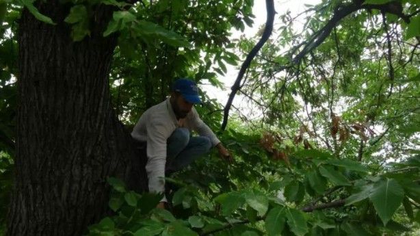 Günlük 400 TL kazanıyor, herkes bu işi yapamıyor 5