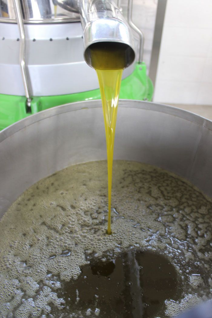 Bursa’da aralarında para toplayan çiftçiler köylerine fabrika kurdu 4