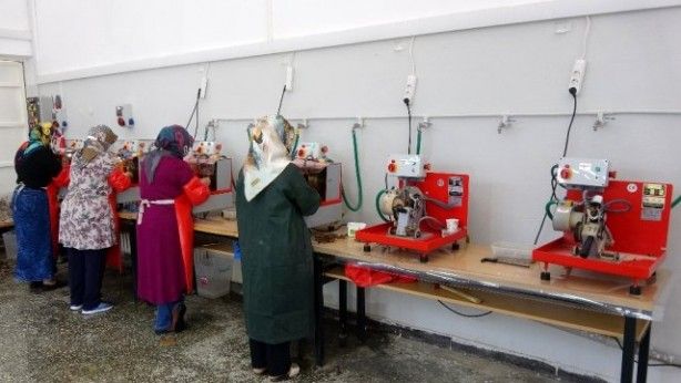 Sadece Tokat'ta çıkıyor! Altından pahalı 2