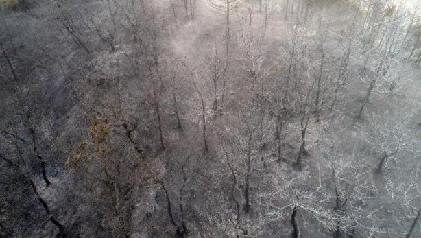 Dikkat çeken görüntü! Alevler onlara sıçramadı 1