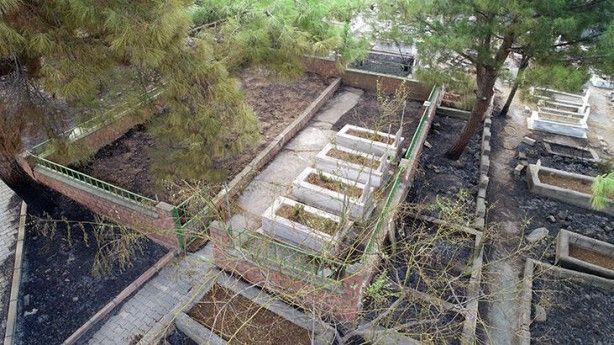 Dikkat çeken görüntü! Alevler onlara sıçramadı 4