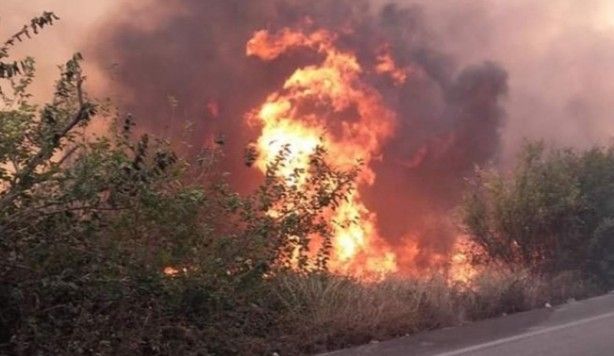 Dikkat çeken görüntü! Alevler onlara sıçramadı 2