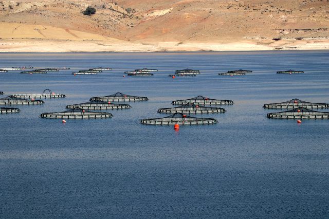Çocukluk sevdasını işe dönüştürdü! Dünyaya satıyor 3