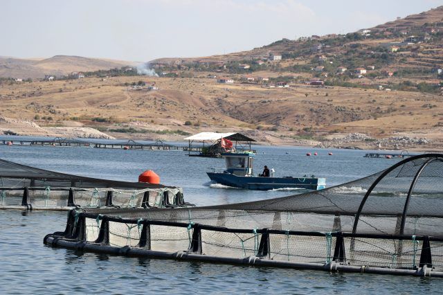Çocukluk sevdasını işe dönüştürdü! Dünyaya satıyor 4