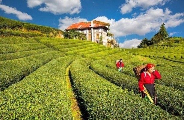 İllerin deprem haritası yayınlandı! 54