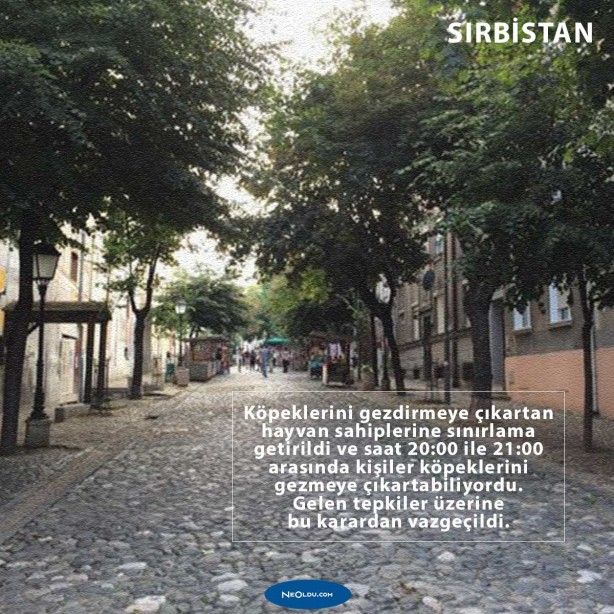 İşte salgında devletlerin aldığı garip önlemler 3