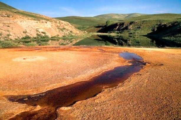 Dünyada ve Türkiye'de tek! Koruma altına alındı 3