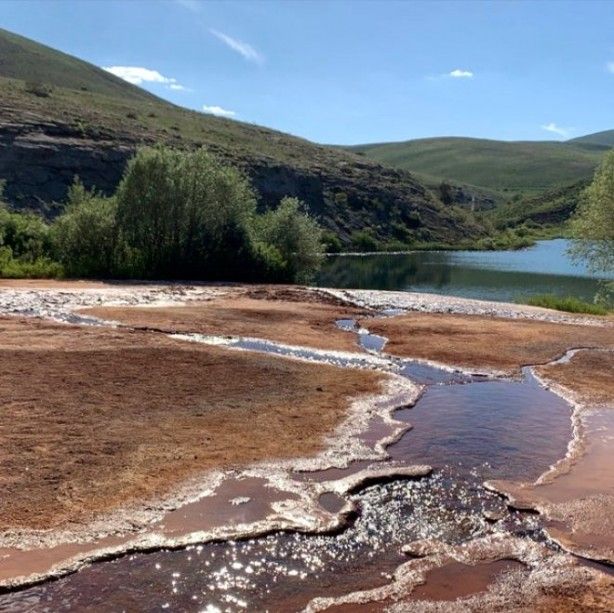 Dünyada ve Türkiye'de tek! Koruma altına alındı 7