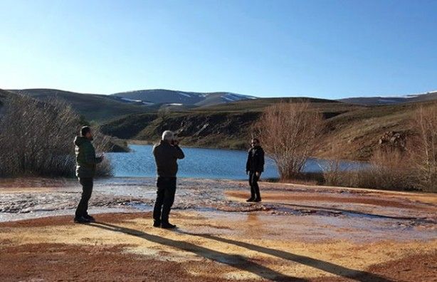 Dünyada ve Türkiye'de tek! Koruma altına alındı 5