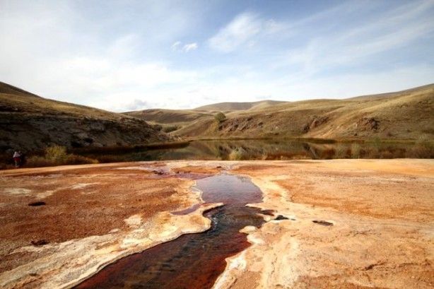Dünyada ve Türkiye'de tek! Koruma altına alındı 4