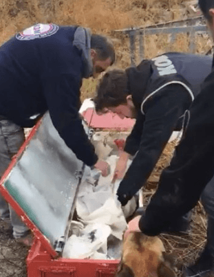 Ankara'da suç örgütüne 'çukur' operasyonu 4