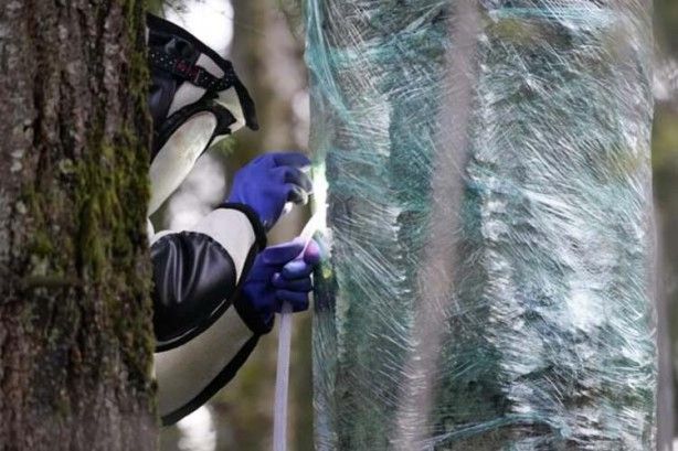 Yeni kriz patlak verdi 2