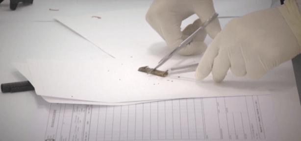 Merak edilen yer ilk kez görüntülendi 5