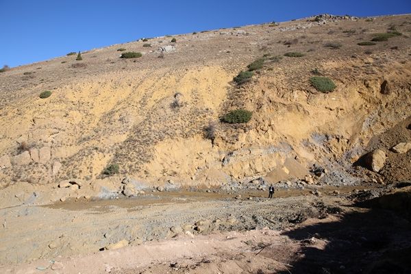 Rezerv için geldiler... 'Tesis kurabiliriz' 4