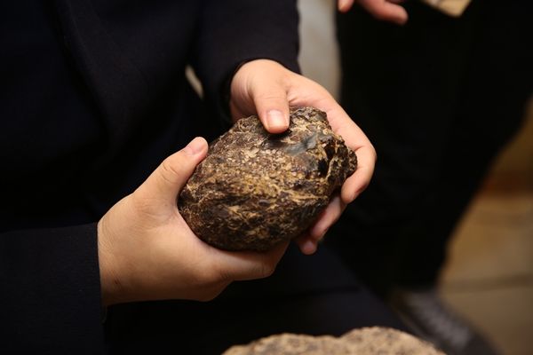 Rezerv için geldiler... 'Tesis kurabiliriz' 2