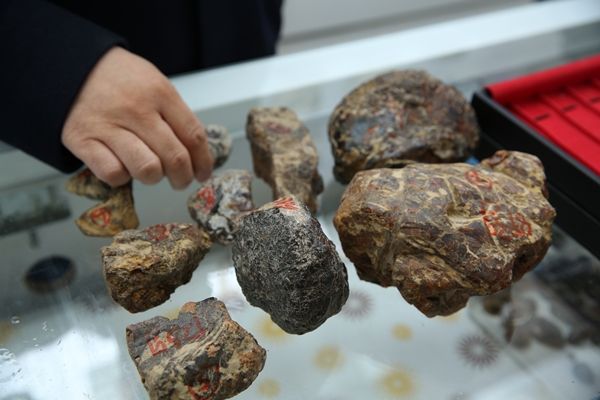 Rezerv için geldiler... 'Tesis kurabiliriz' 9