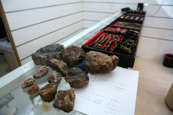 Rezerv için geldiler... 'Tesis kurabiliriz' 10