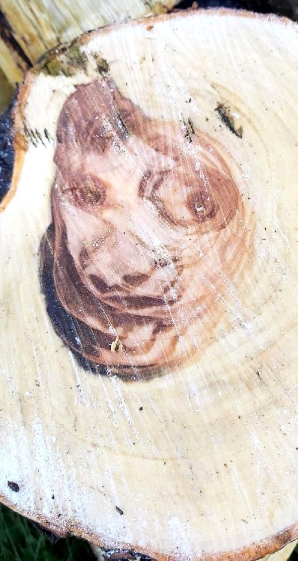 Detayı fark edince gözlerine inanamadı 7