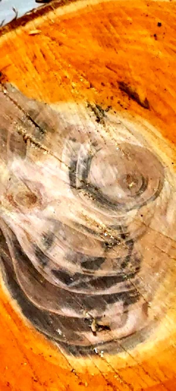 Detayı fark edince gözlerine inanamadı 2