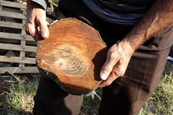 Detayı fark edince gözlerine inanamadı 4