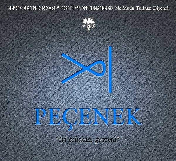 İşte Türklerin soy ağacı gerçeği 17