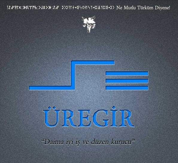 İşte Türklerin soy ağacı gerçeği 23