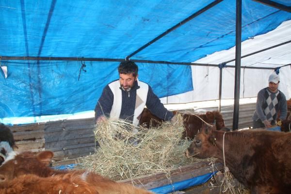 Emekli olu hayalini gerçekleştirdi: Çok karlı 3